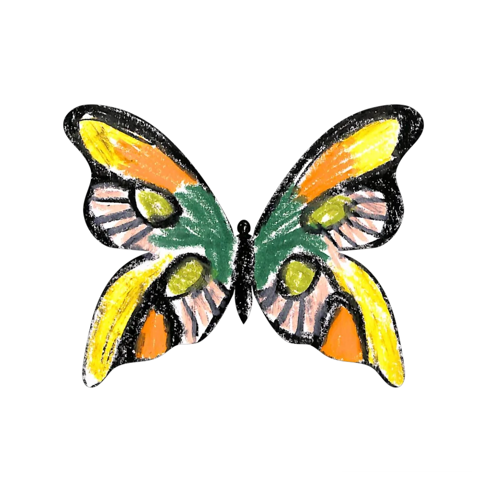 Original Butterfly Image