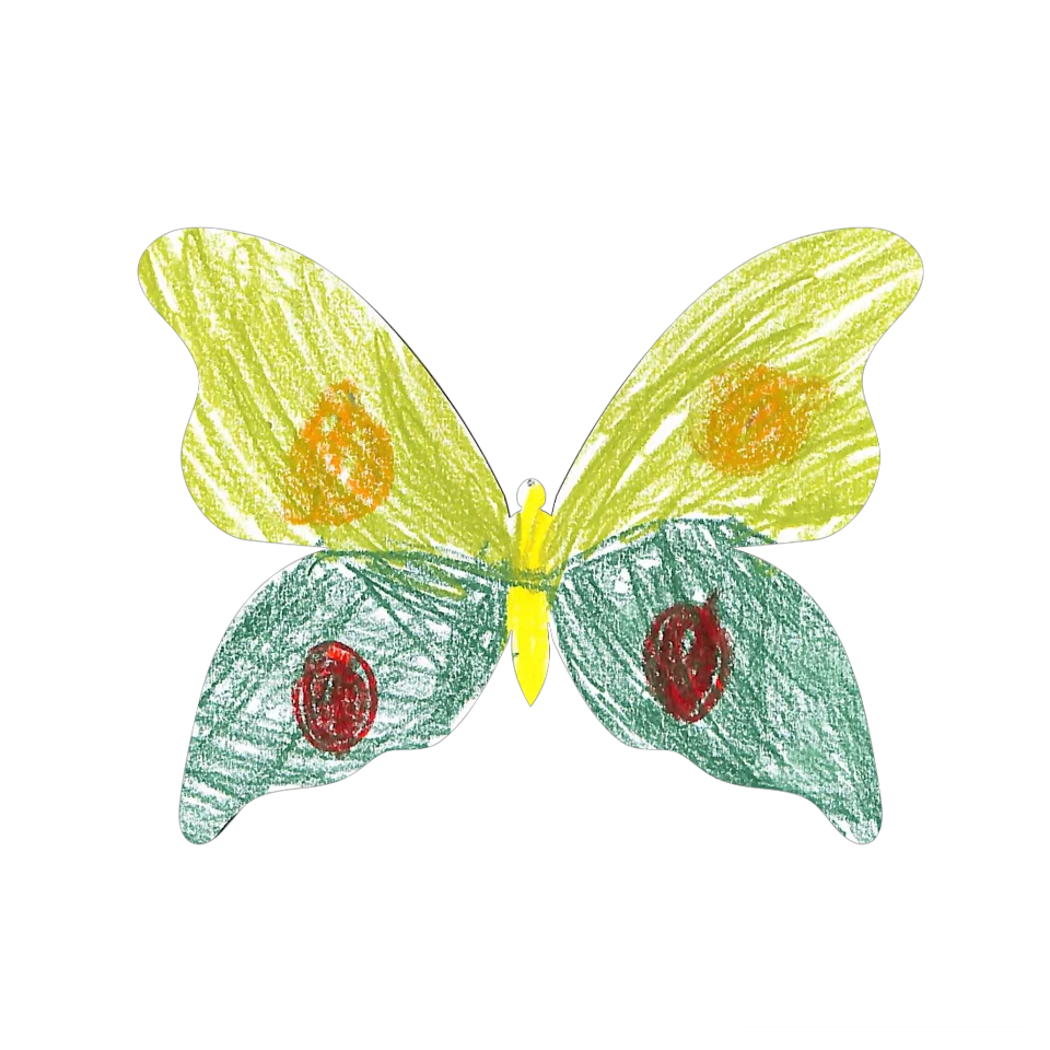 Original Butterfly Image