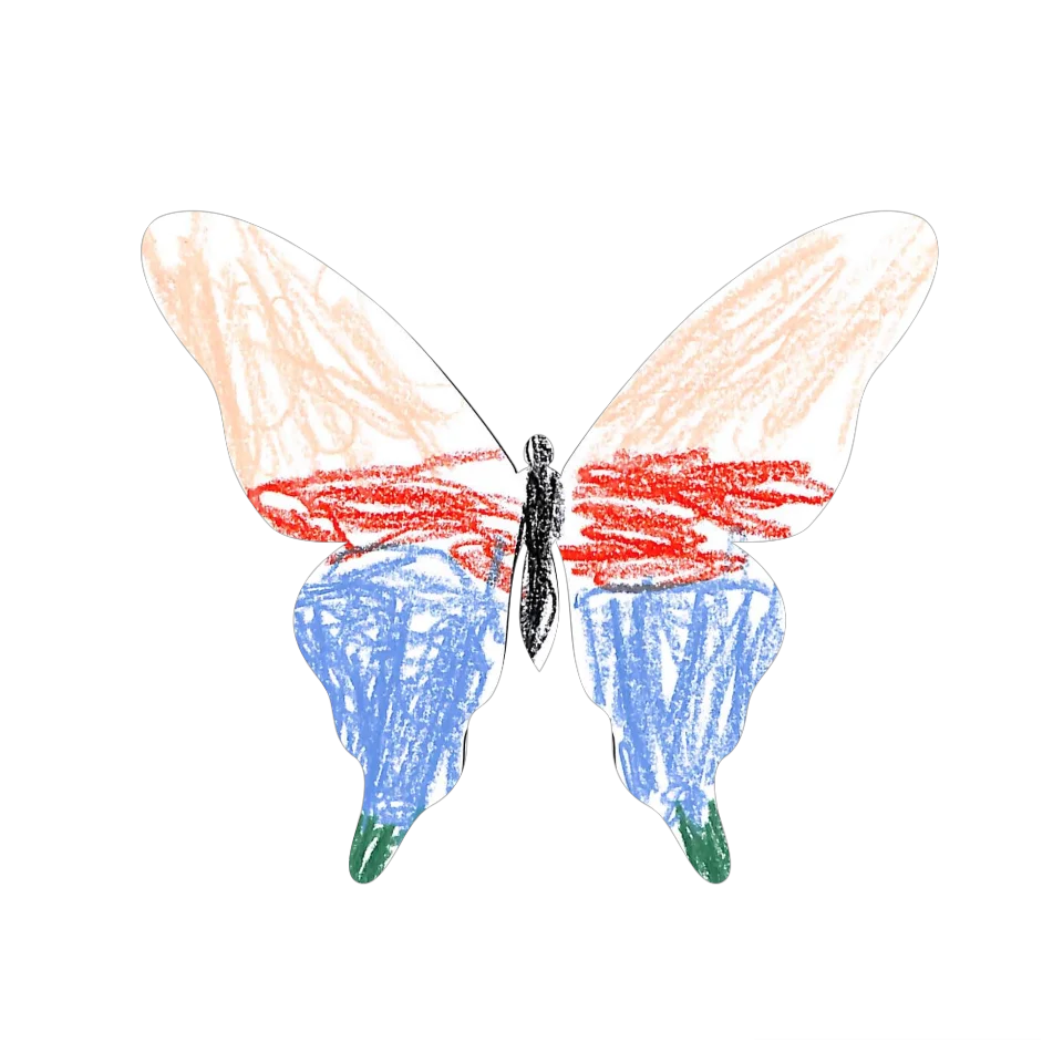 Original Butterfly Image