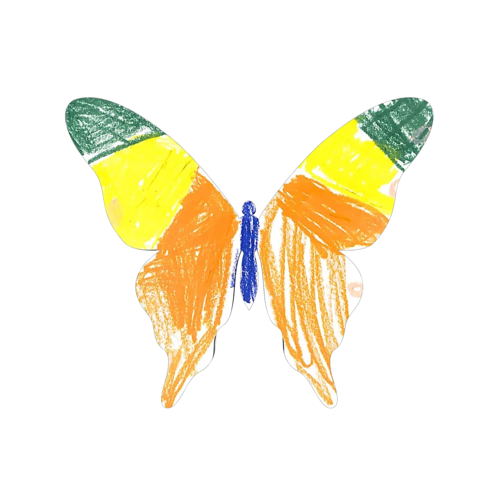Original Butterfly Image