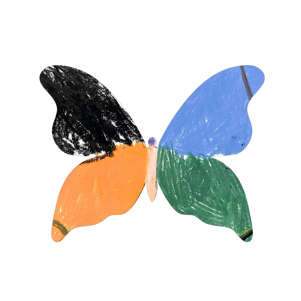 Original Butterfly Image