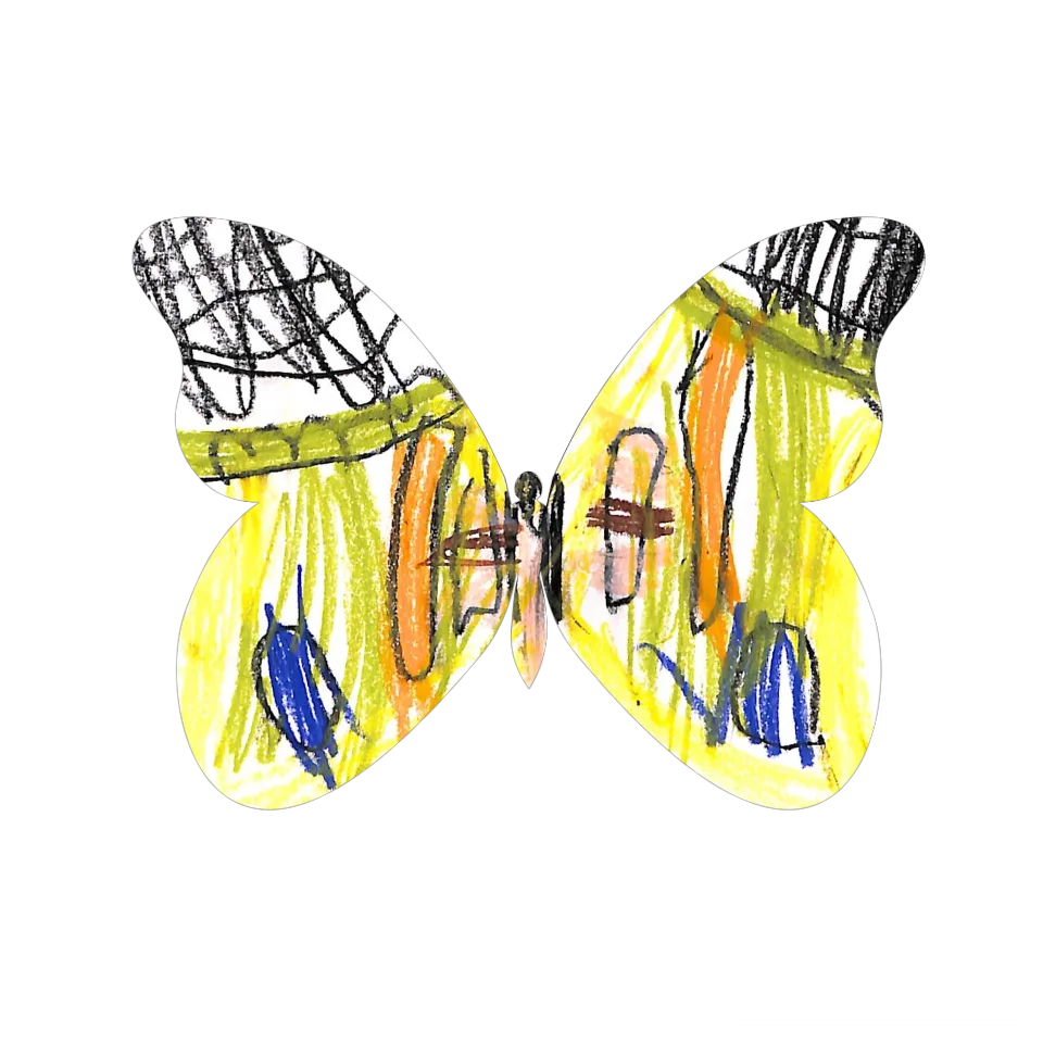 Original Butterfly Image