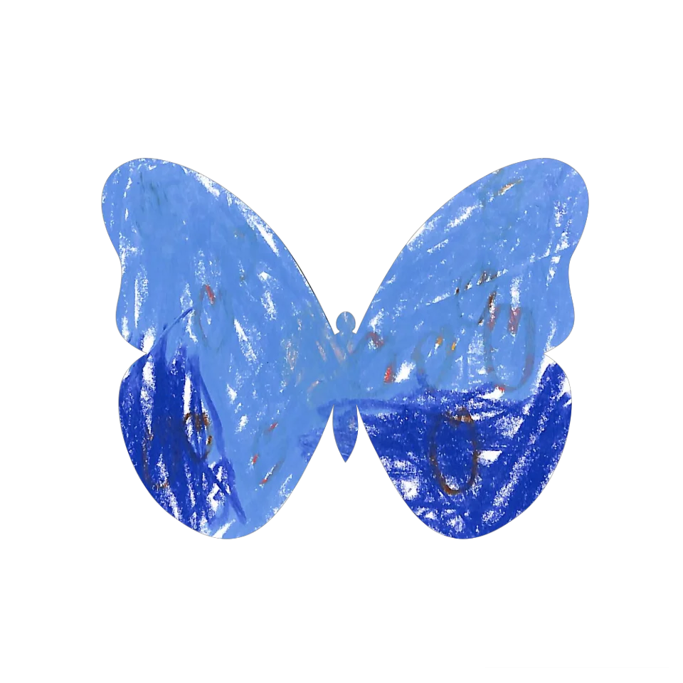 Original Butterfly Image
