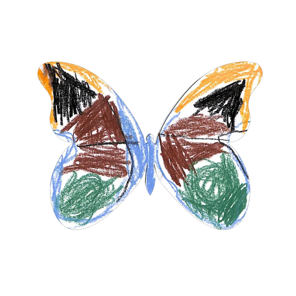 Original Butterfly Image