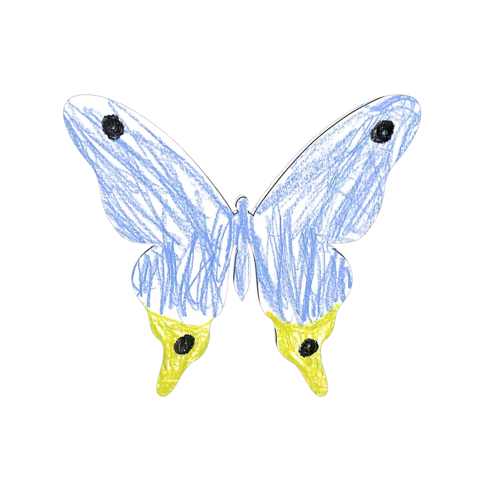 Original Butterfly Image