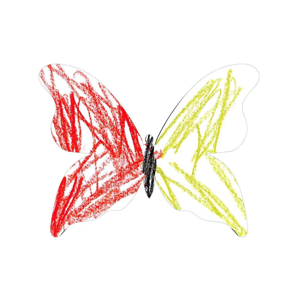 Original Butterfly Image