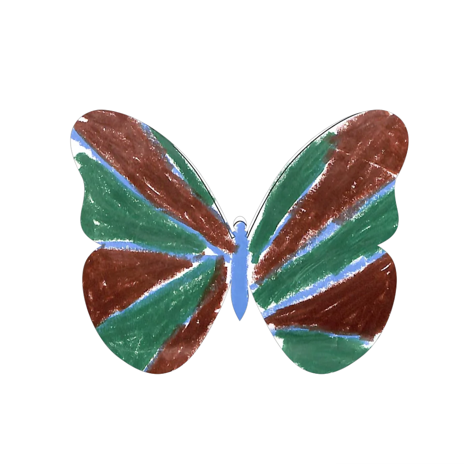 Original Butterfly Image