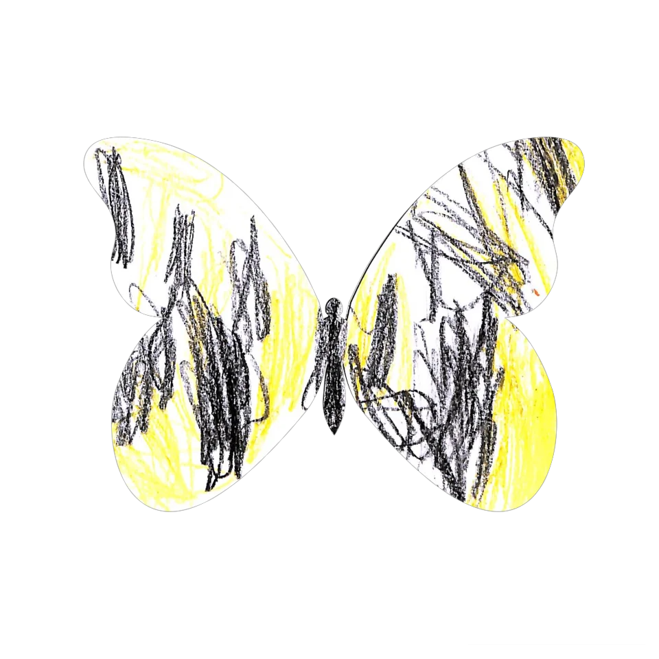 Original Butterfly Image
