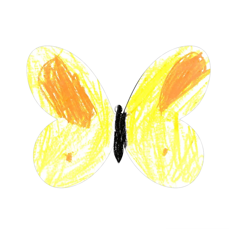 Original Butterfly Image
