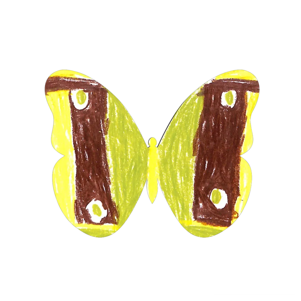 Original Butterfly Image