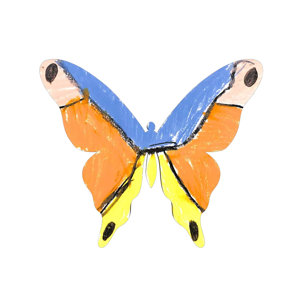 Original Butterfly Image