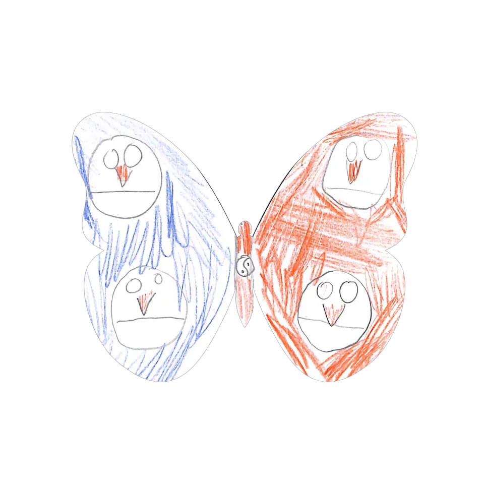 Original Butterfly Image