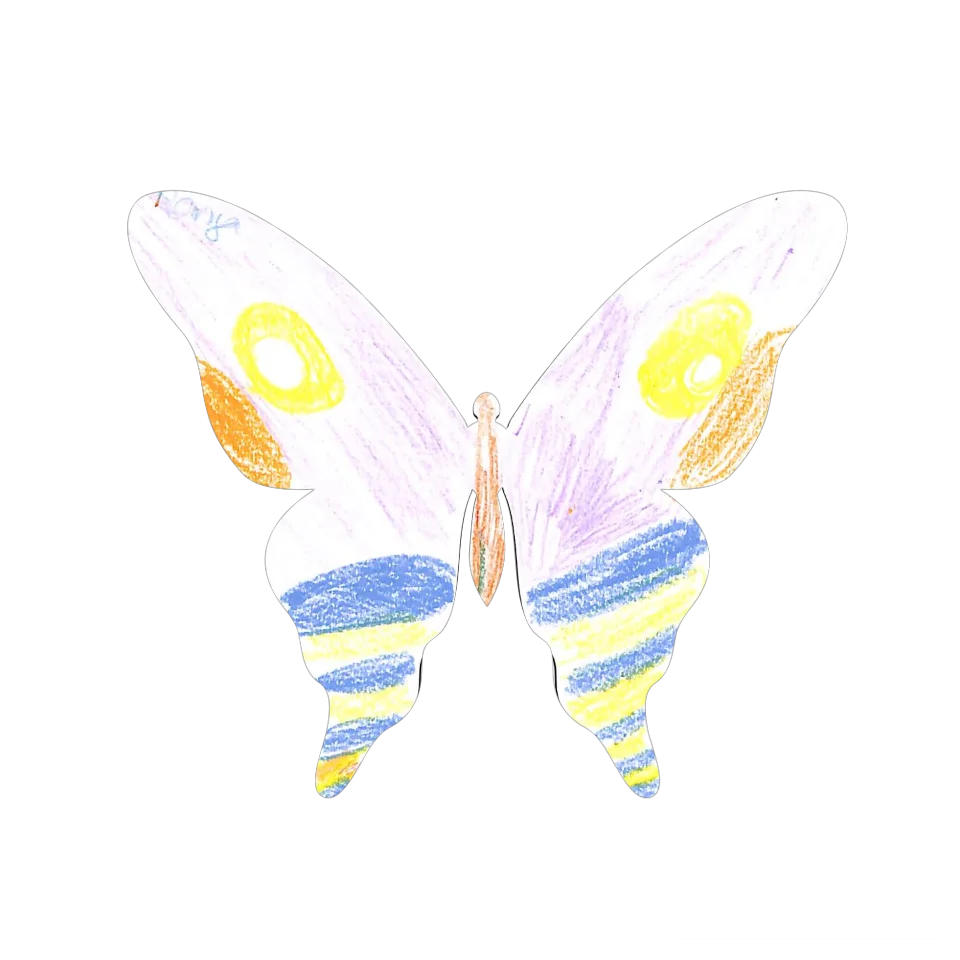 Original Butterfly Image