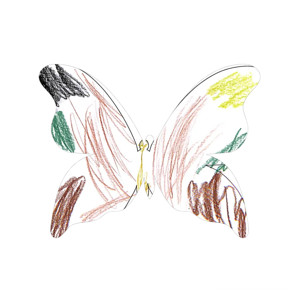 Original Butterfly Image