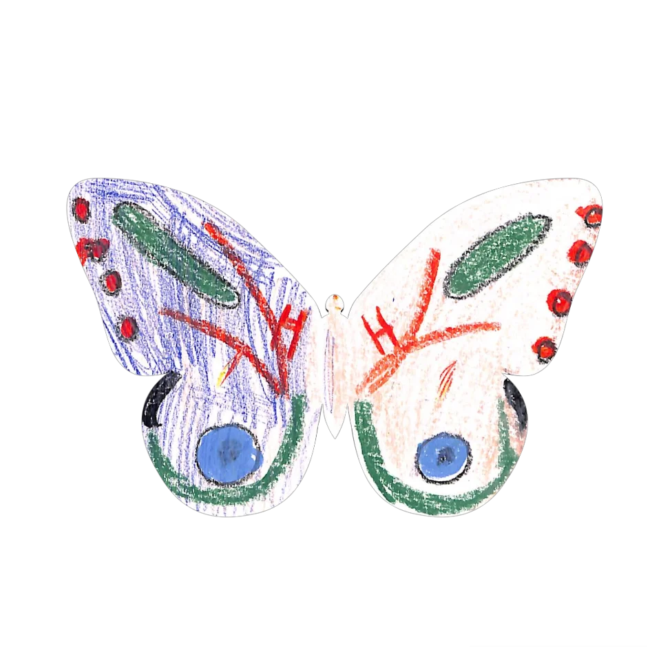 Original Butterfly Image