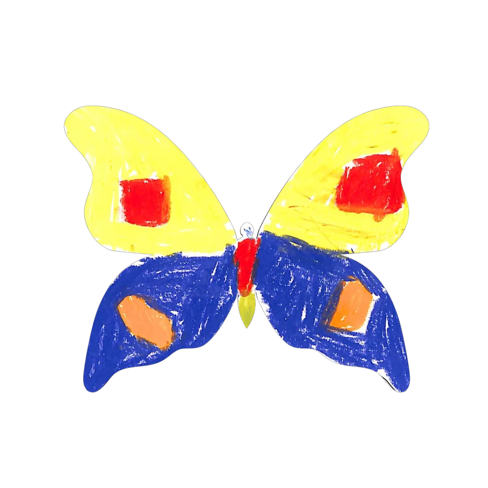 Original Butterfly Image