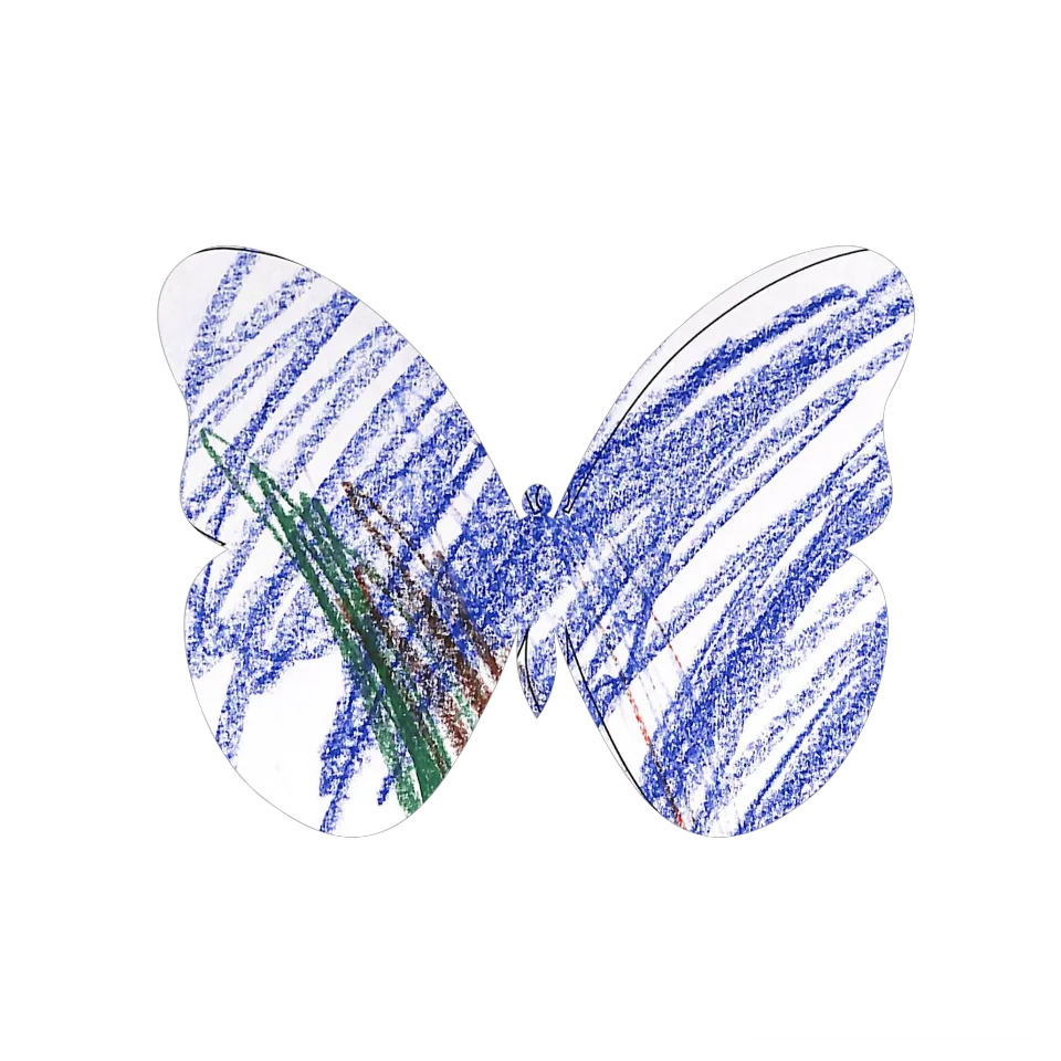 Original Butterfly Image