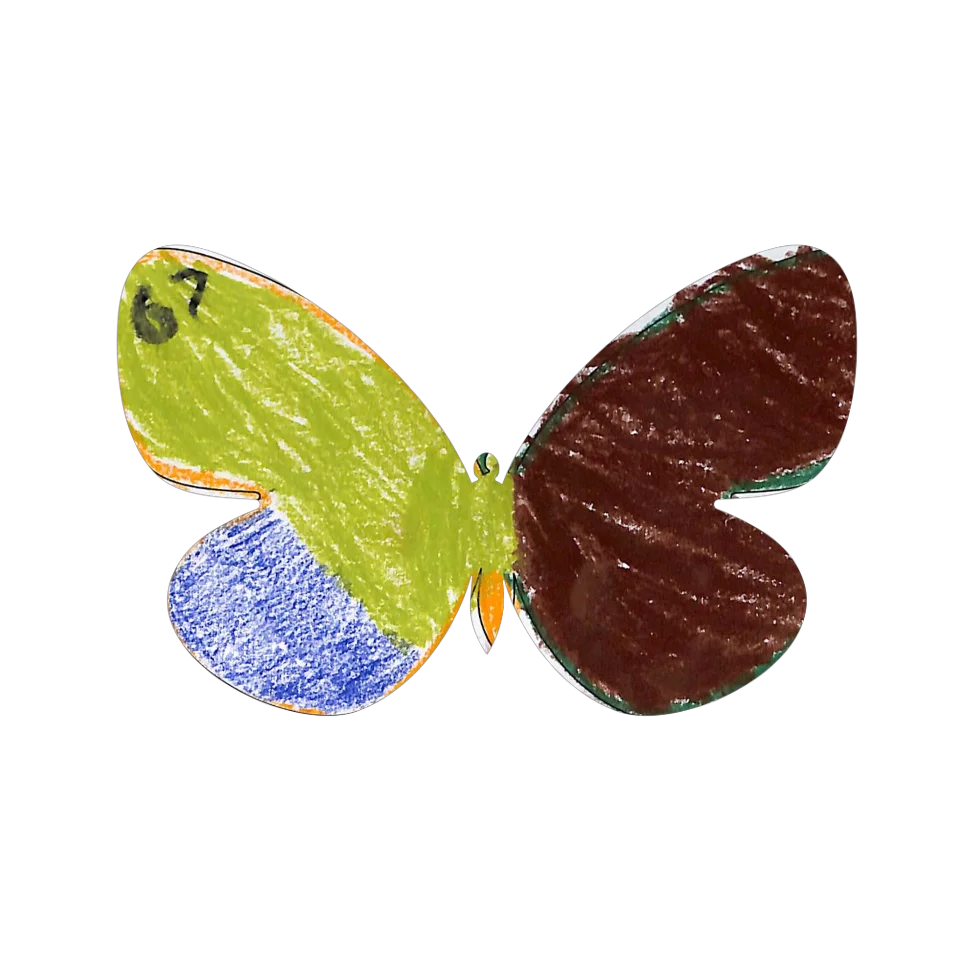 Original Butterfly Image