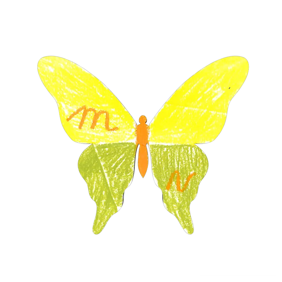 Original Butterfly Image