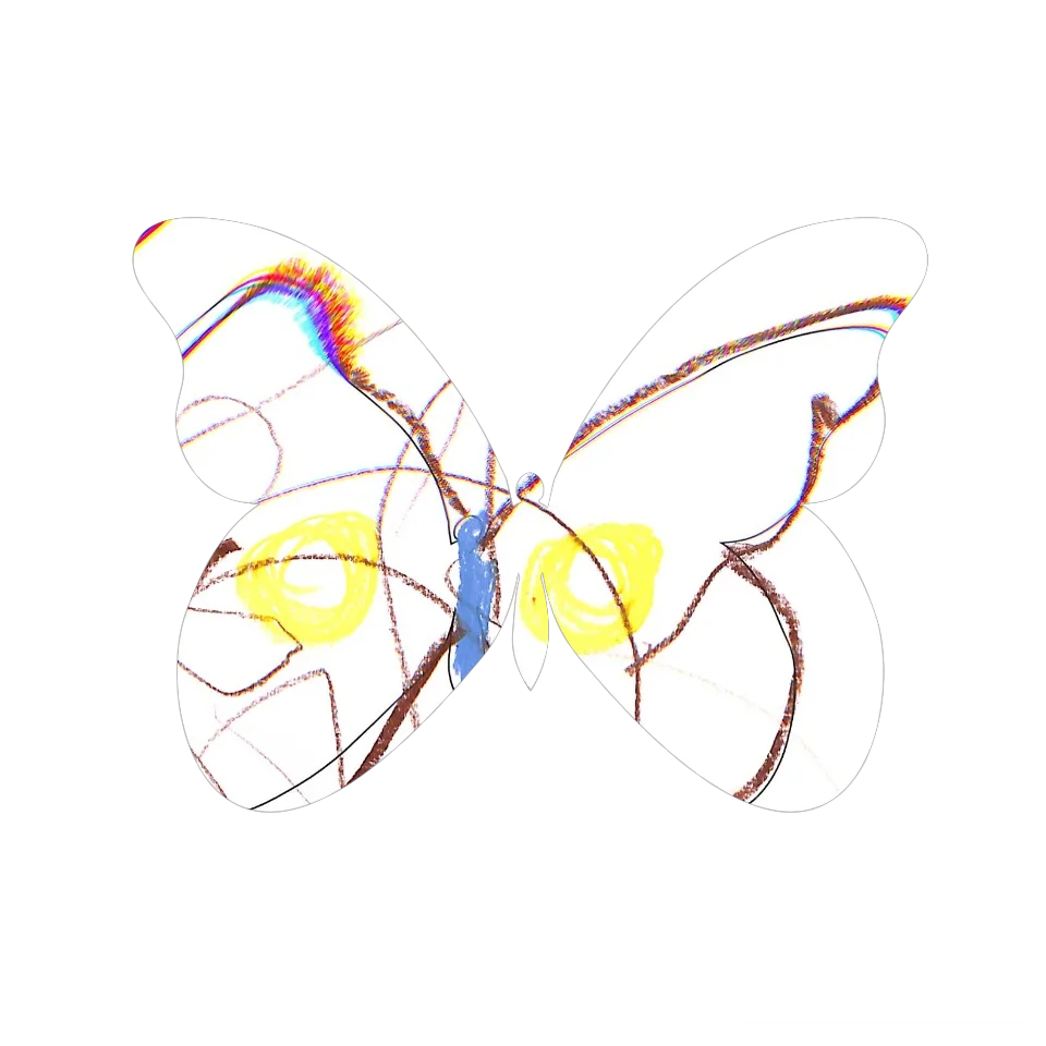 Original Butterfly Image