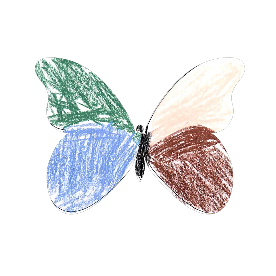 Original Butterfly Image