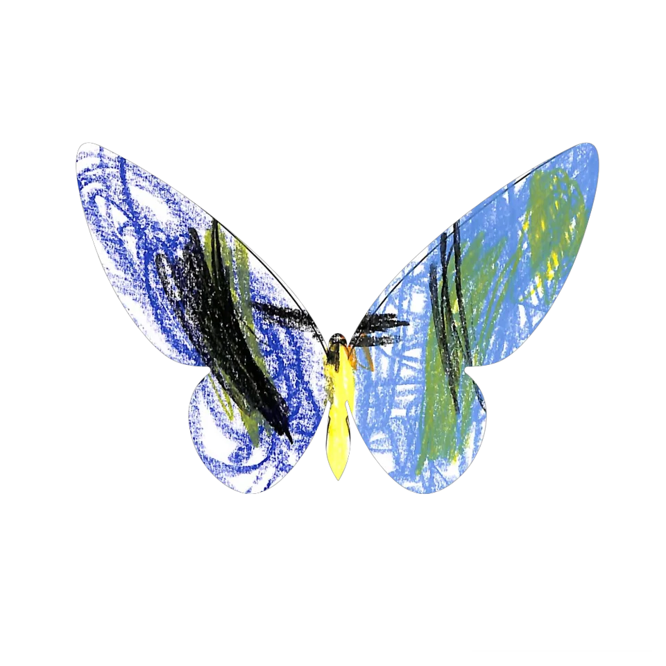 Original Butterfly Image