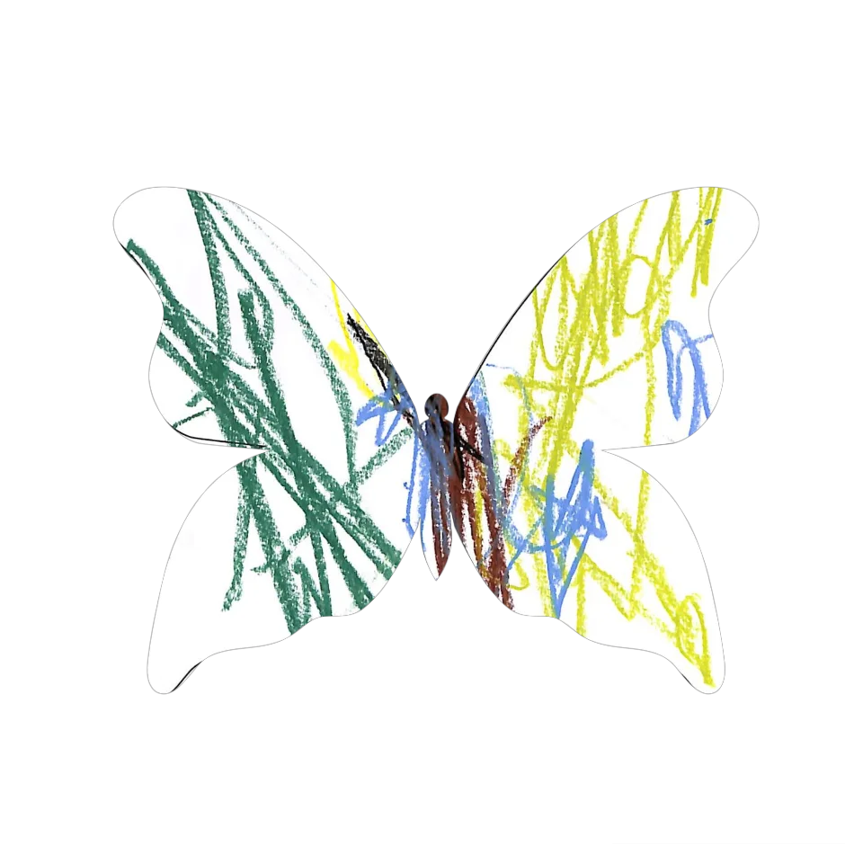 Original Butterfly Image
