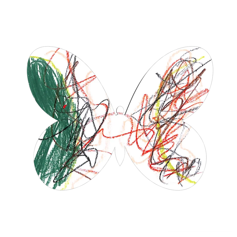 Original Butterfly Image