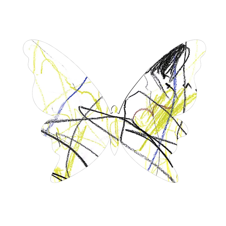 Original Butterfly Image