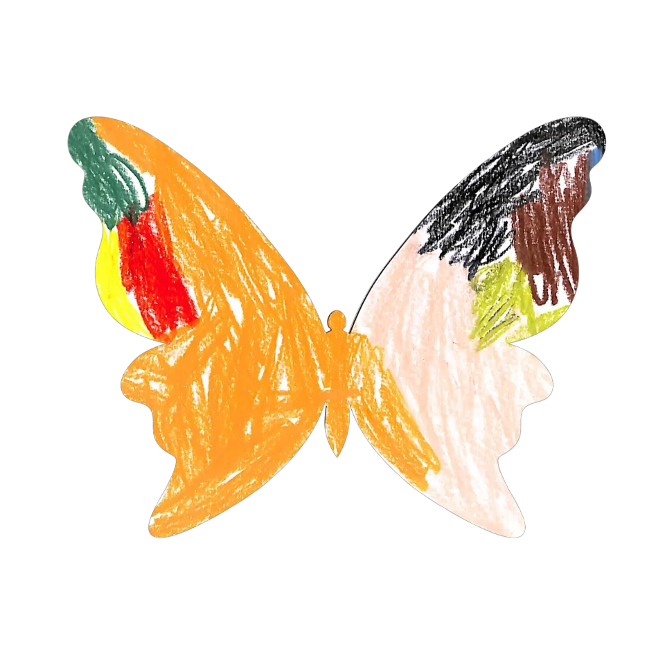 Original Butterfly Image