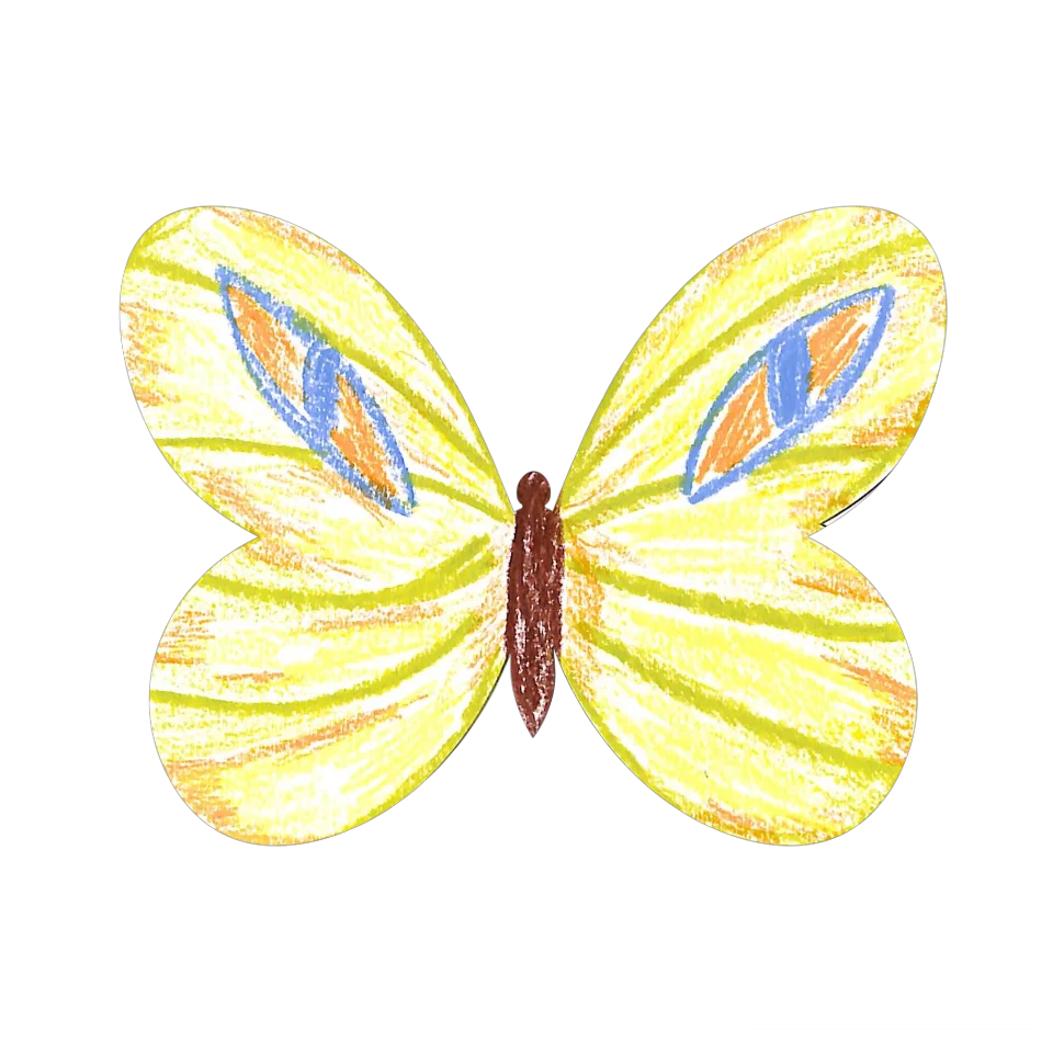 Original Butterfly Image