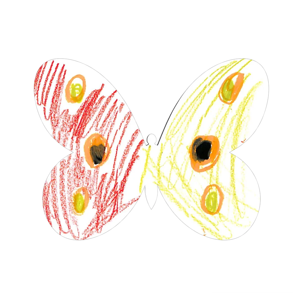 Original Butterfly Image