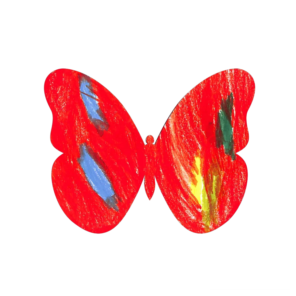 Original Butterfly Image