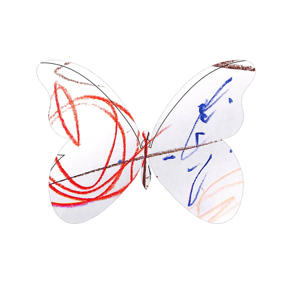 Original Butterfly Image