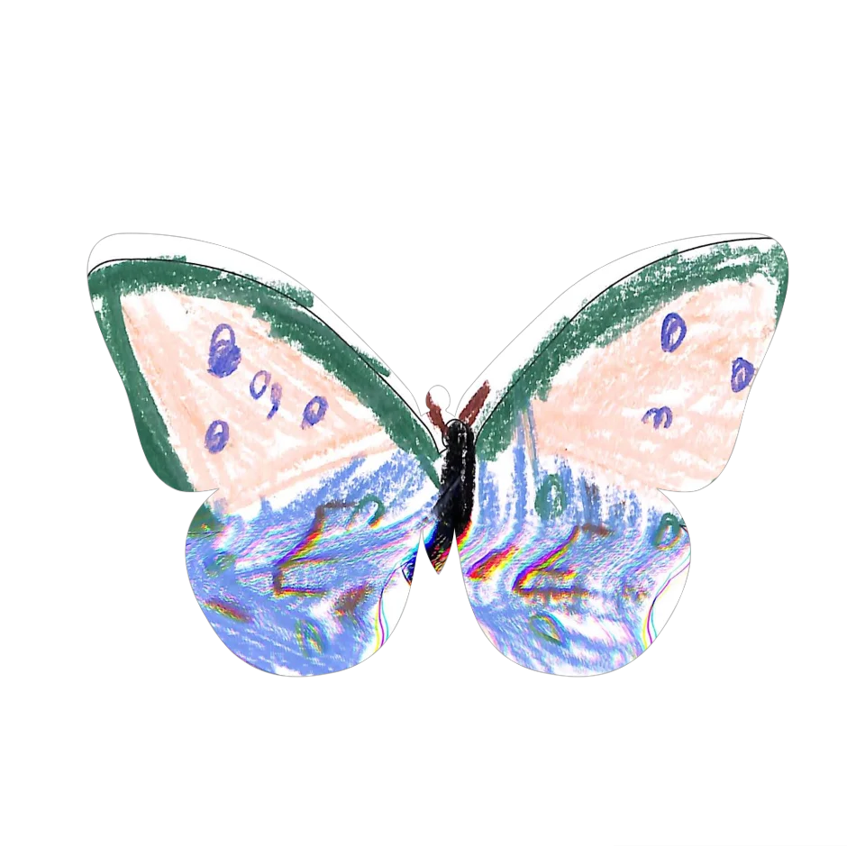 Original Butterfly Image