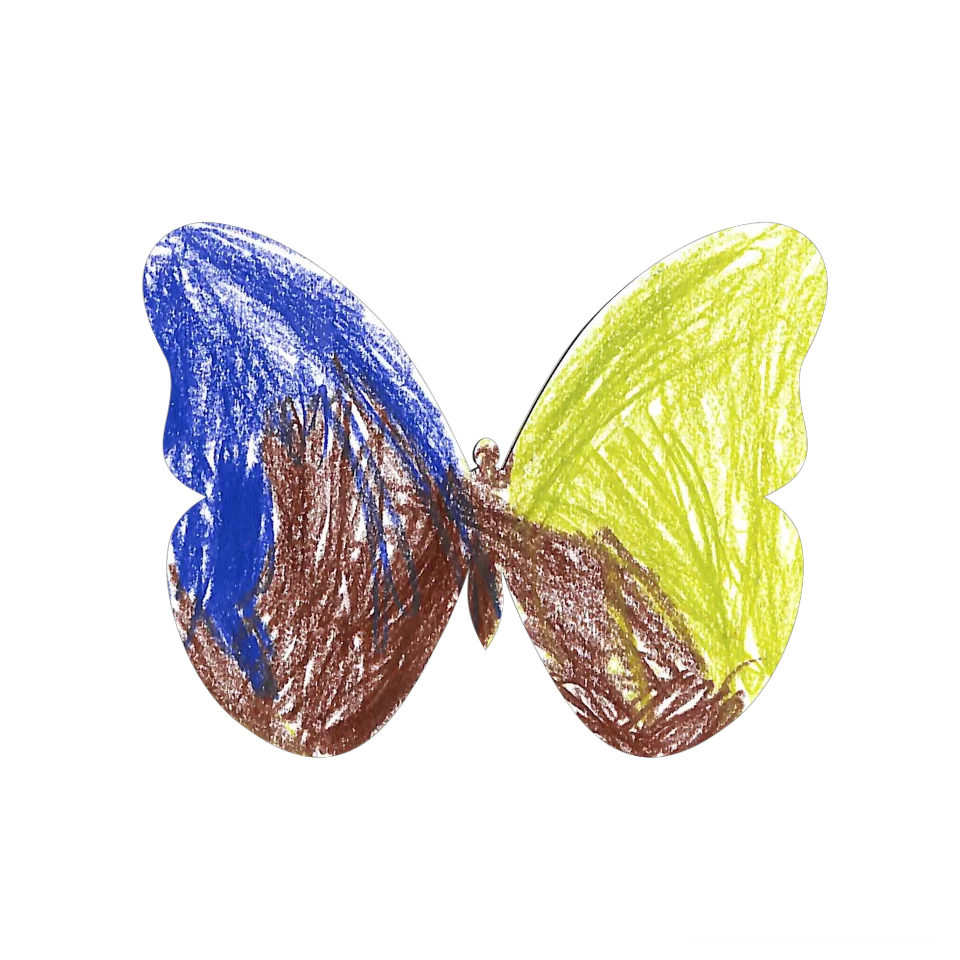 Original Butterfly Image