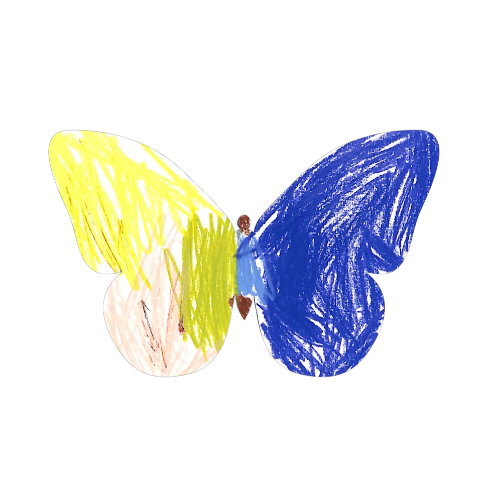 Original Butterfly Image