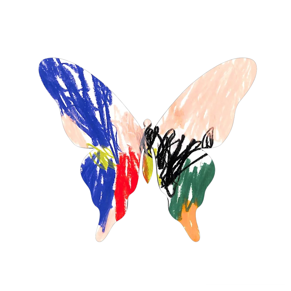Original Butterfly Image