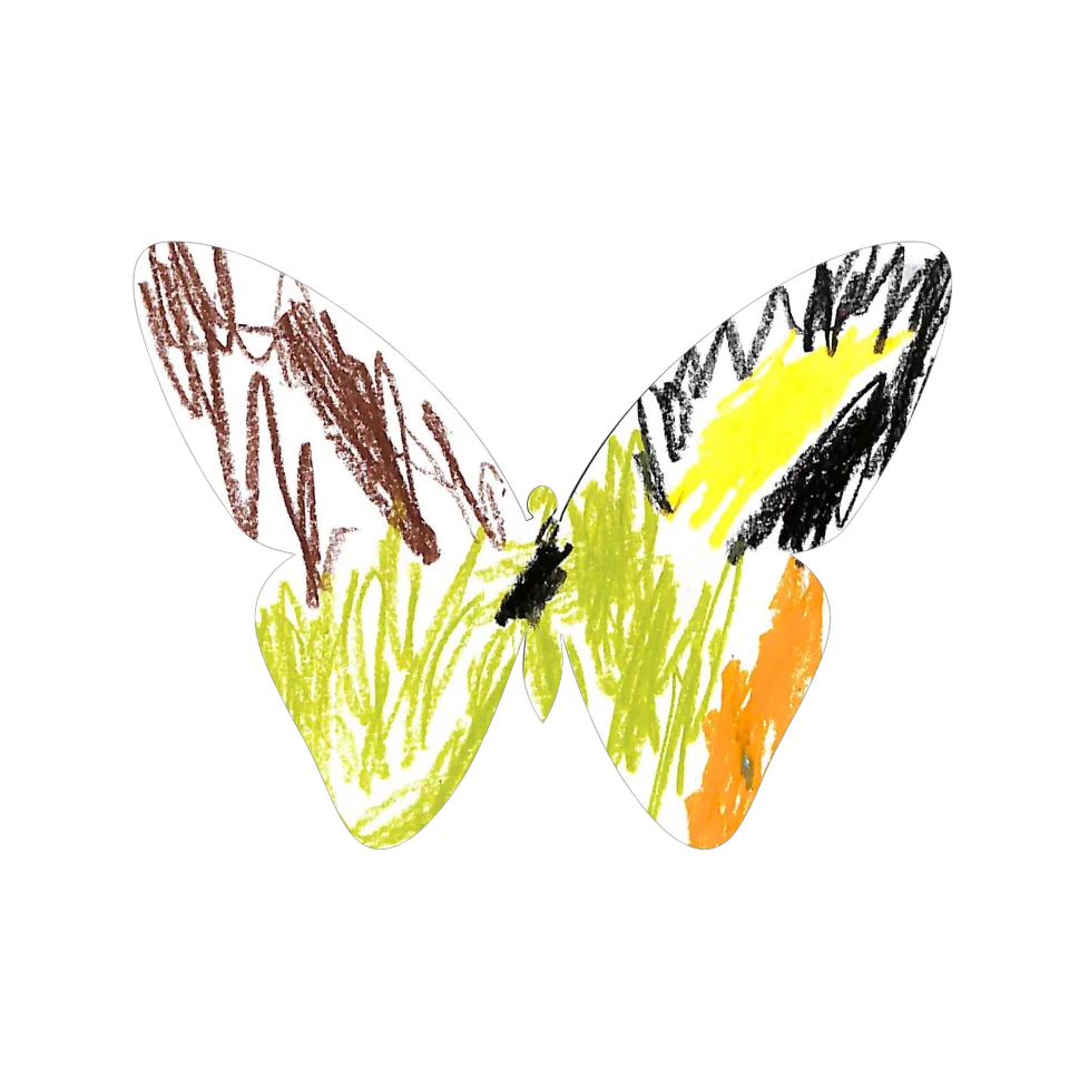 Original Butterfly Image