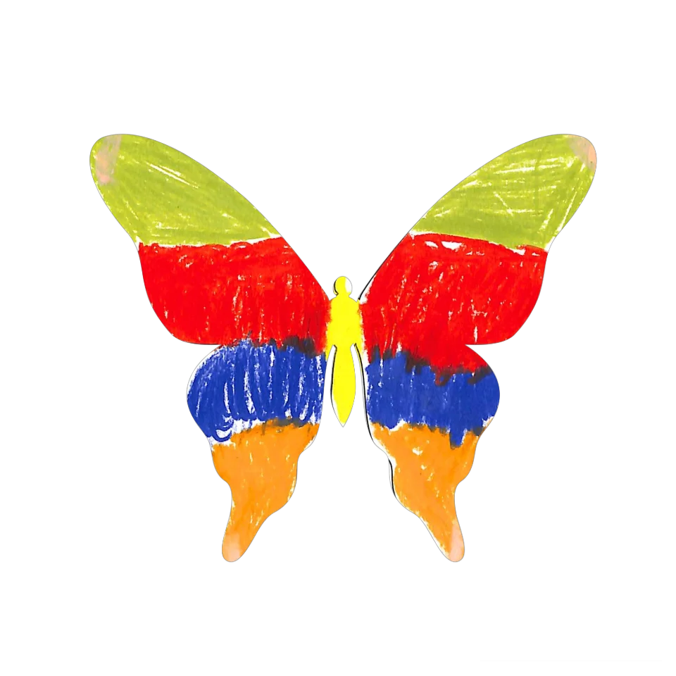 Original Butterfly Image