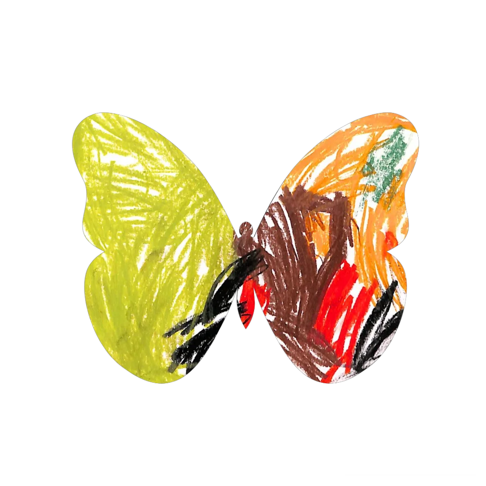 Original Butterfly Image