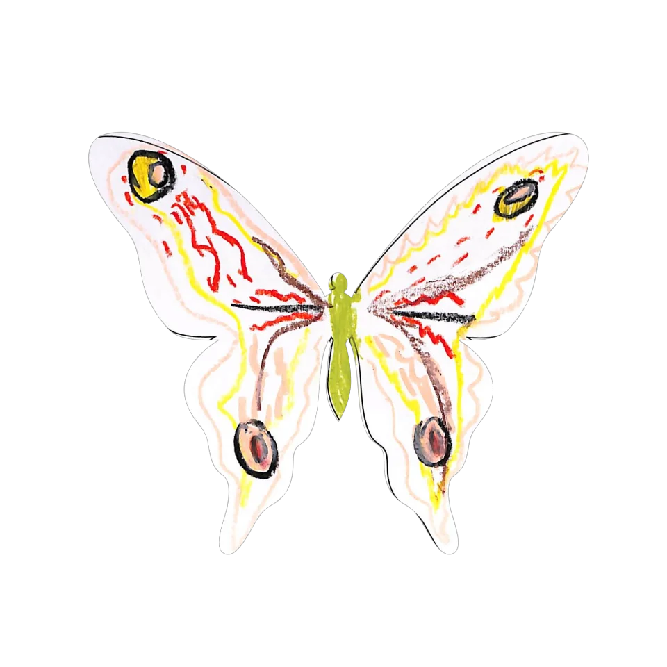 Original Butterfly Image