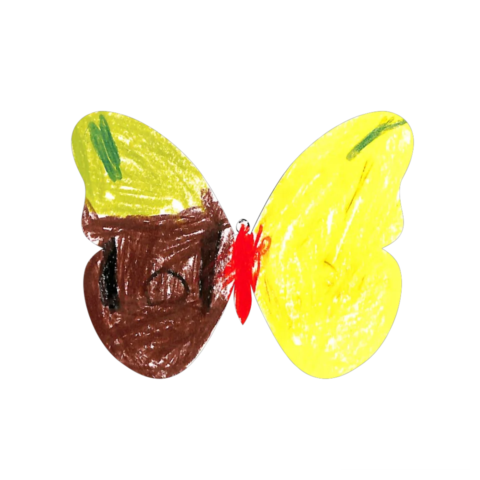 Original Butterfly Image