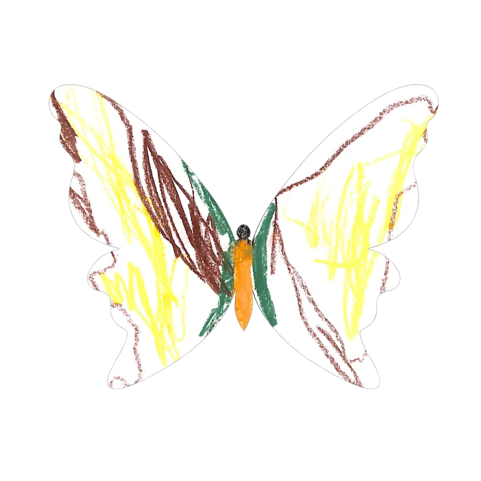 Original Butterfly Image