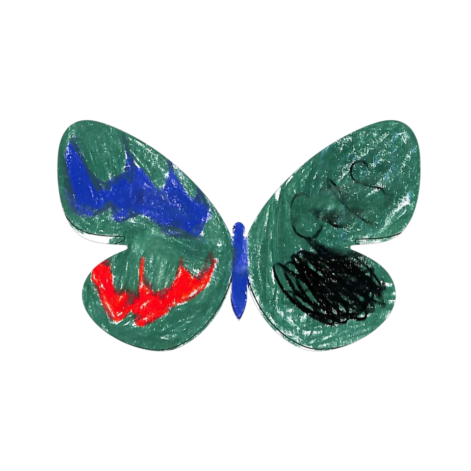 Original Butterfly Image