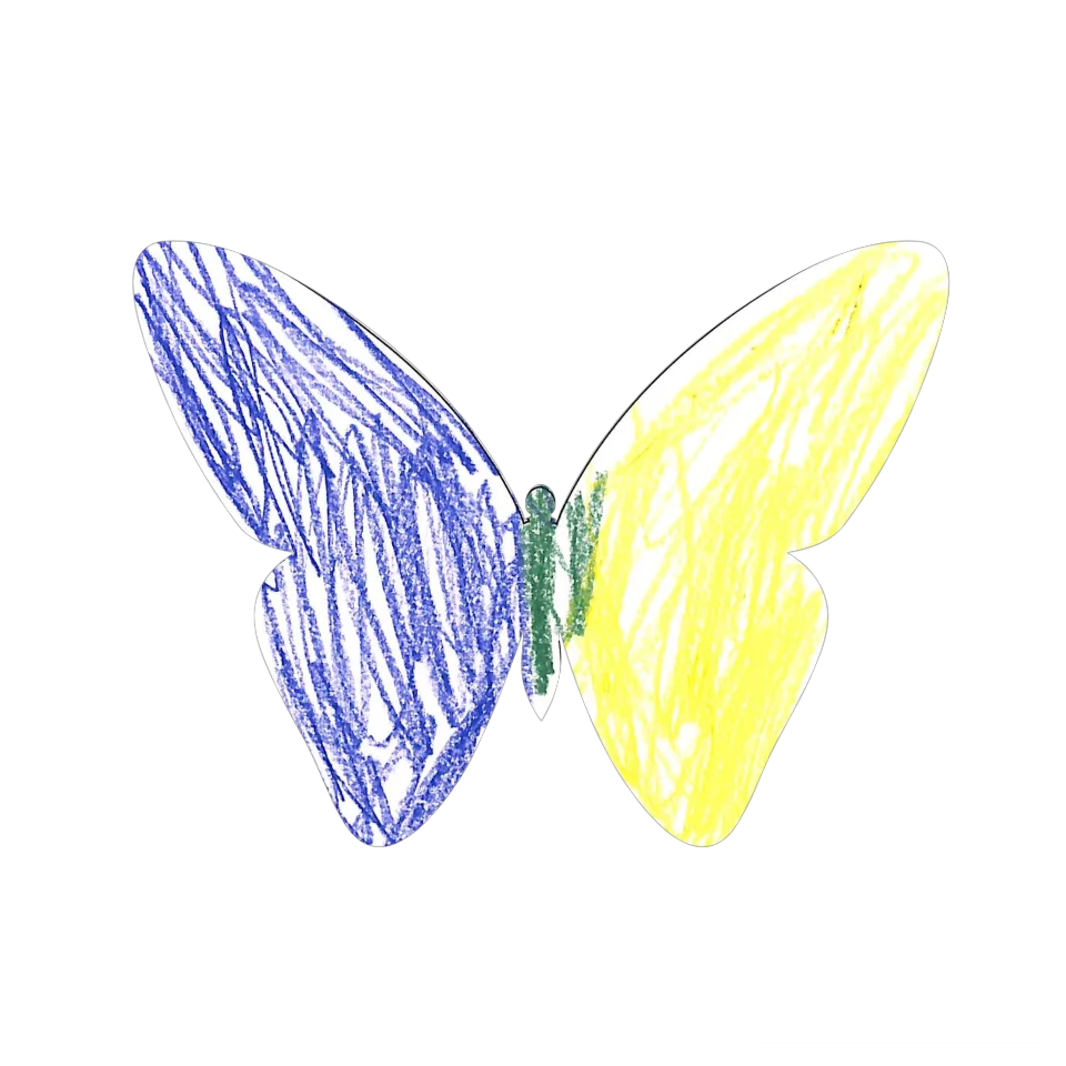 Original Butterfly Image