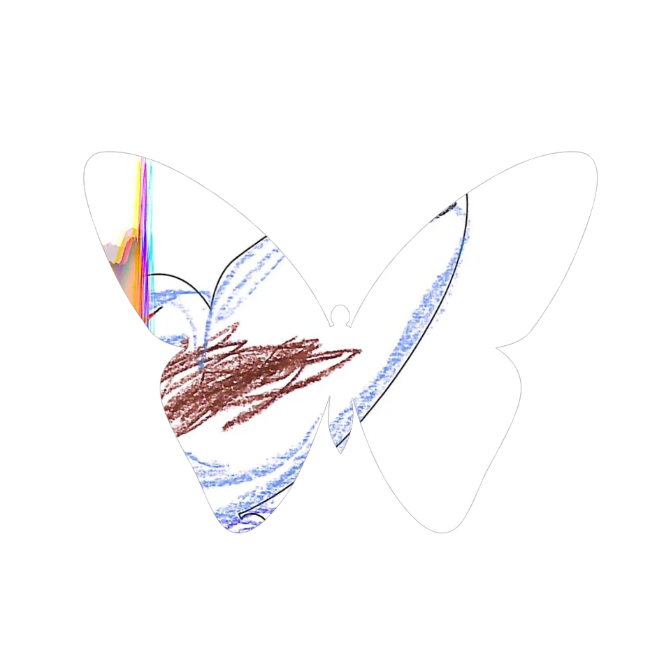 Original Butterfly Image