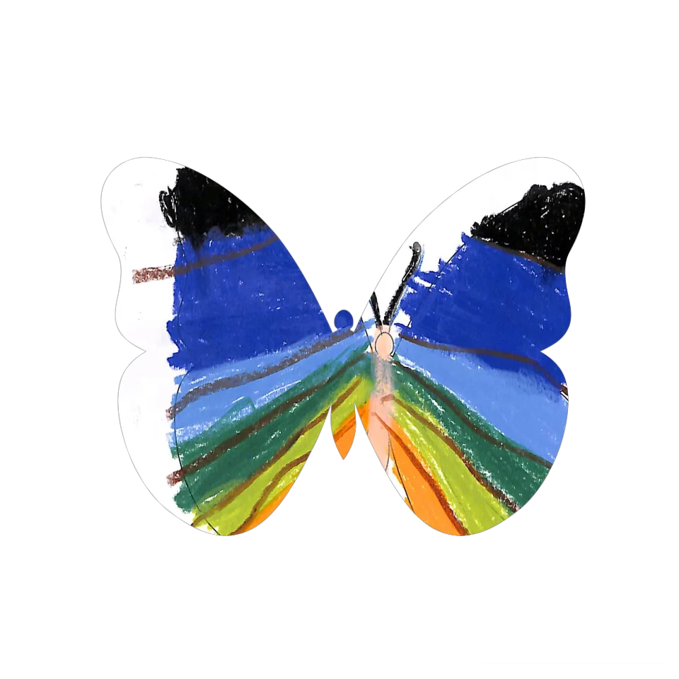 Original Butterfly Image