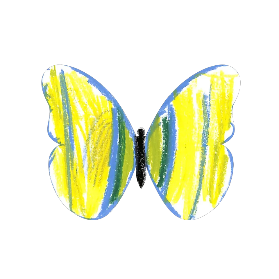 Original Butterfly Image