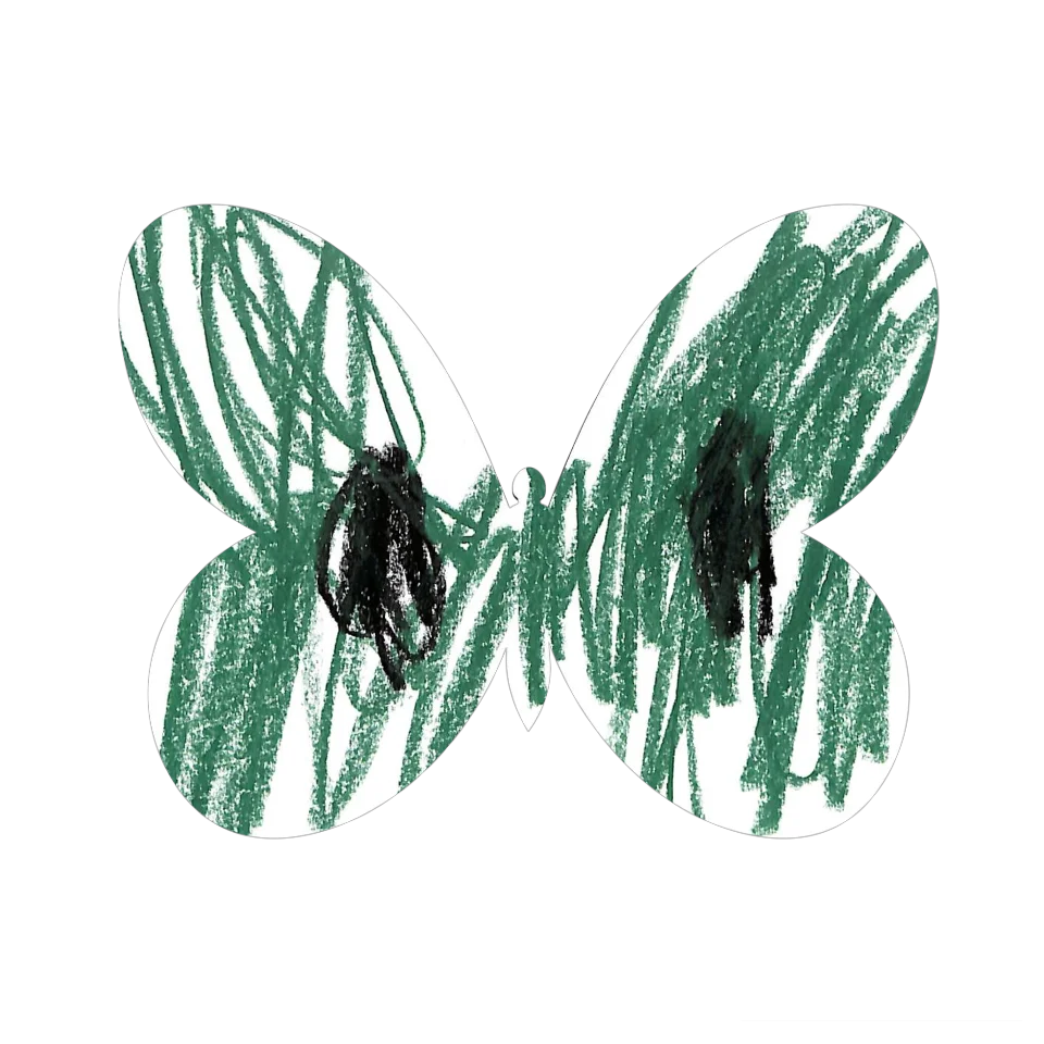 Original Butterfly Image